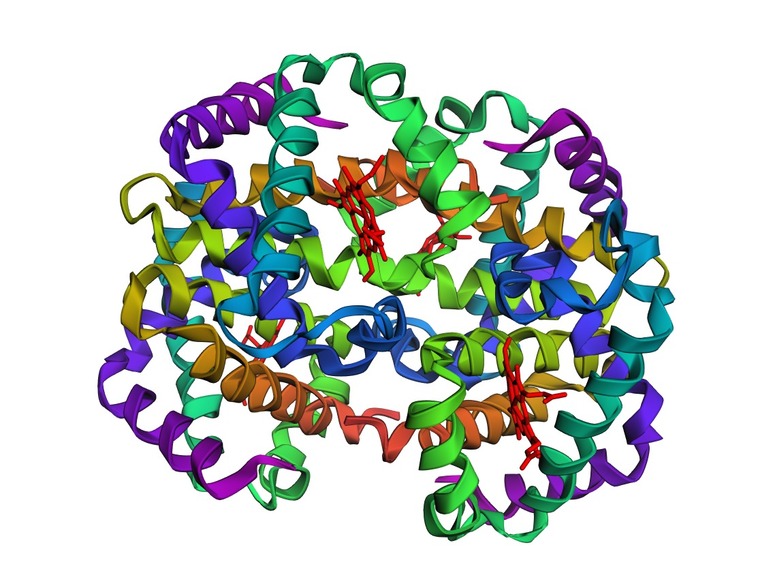 3D Hemoglobin Structural Analysis – screenshot 1