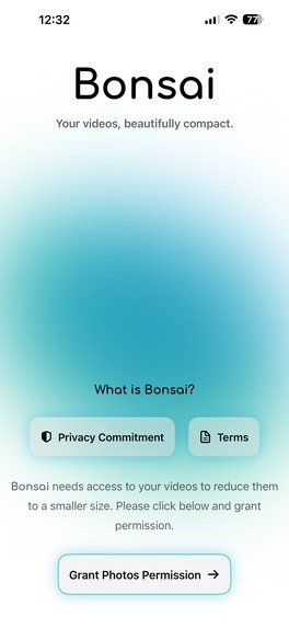 Bonsai: Video Compressor – screenshot 1