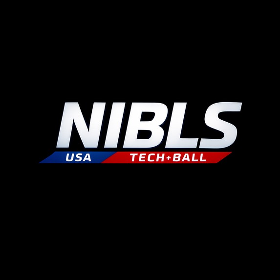 NIBLS Coin Project Analytics to Profits – screenshot 3