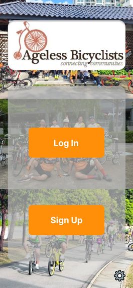 VAMOS System – screenshot 1