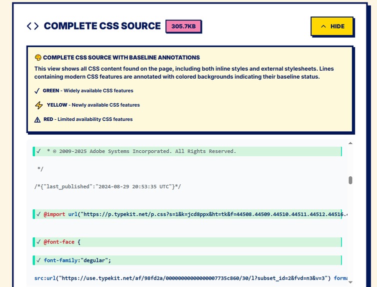 Web Baseline Scanner – screenshot 4