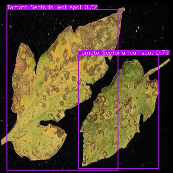 Crop Disease Diagnosis and Tomato Freshness Application – screenshot 1