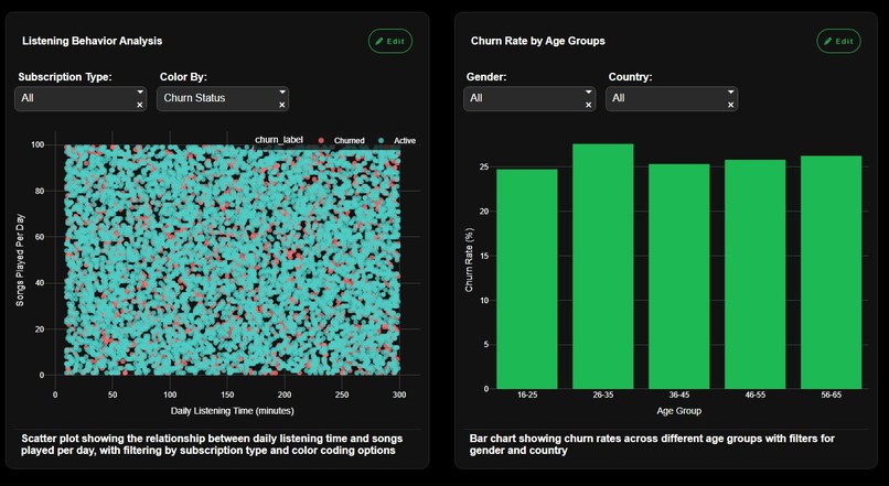Music Streaming Analytics – screenshot 4