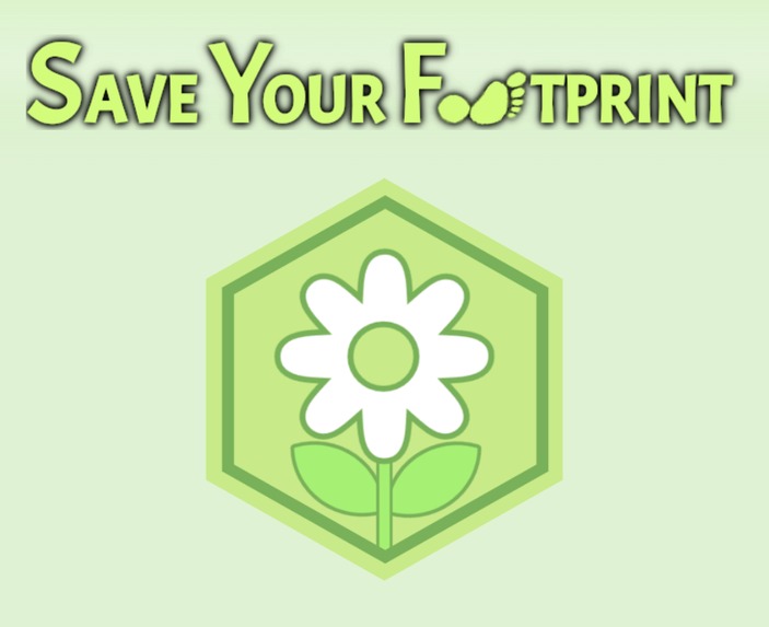 Save Your Footprint – screenshot 1