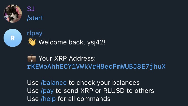 XRPay – screenshot 1