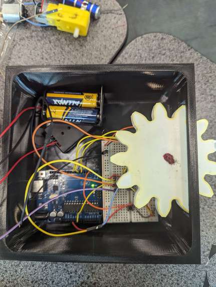 Cognia – screenshot 1