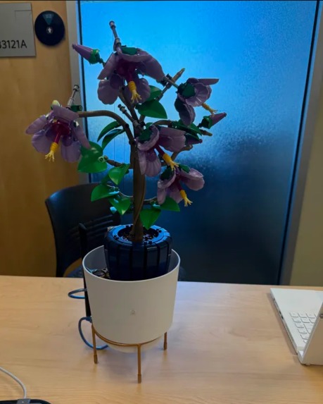 Planty – screenshot 5