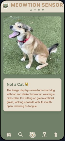 Meowtion Sensor – screenshot 5