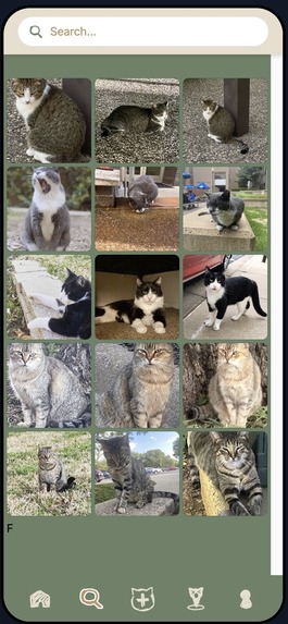 Meowtion Sensor – screenshot 1