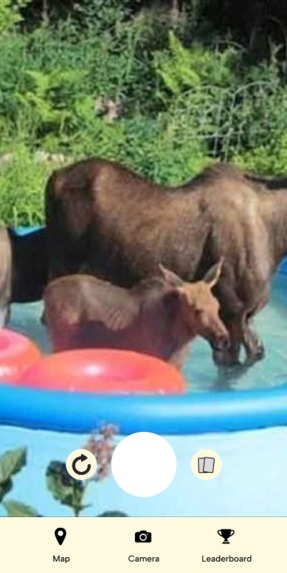 trackr – screenshot 3