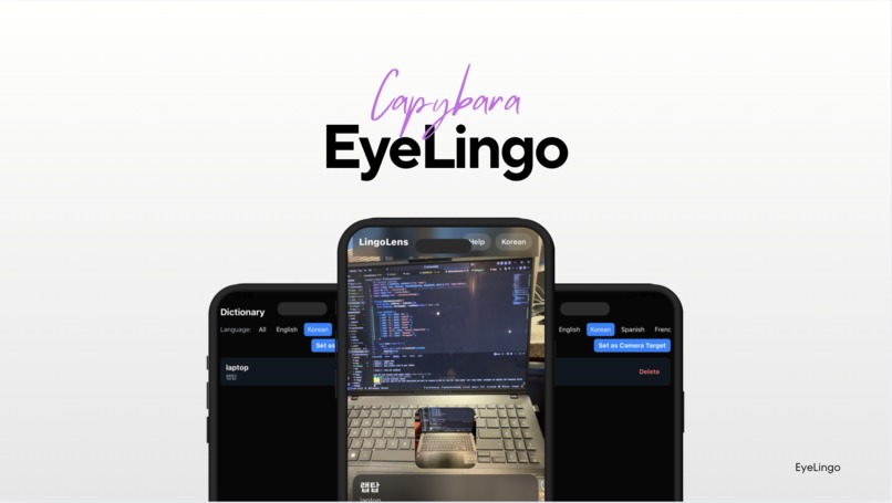 Eyelingo – screenshot 1