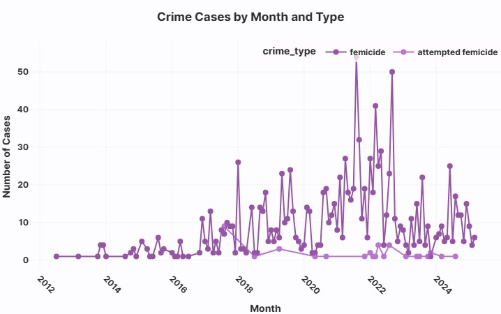 Femicide in Bolivia: From News to Narrative – screenshot 1