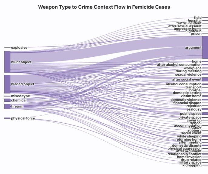 Femicide in Bolivia: From News to Narrative – screenshot 6