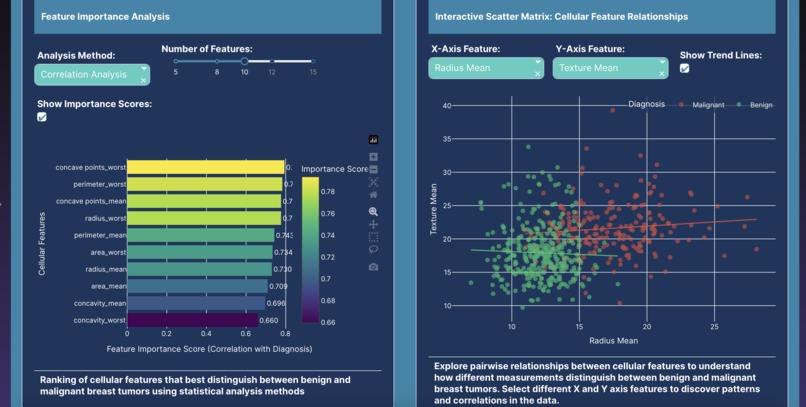 Breast Cancer Diagnostic – screenshot 3