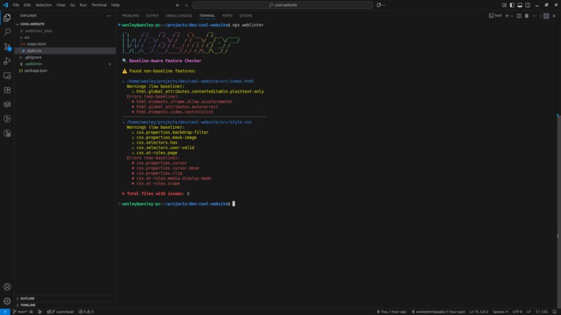 Web Linter – screenshot 1