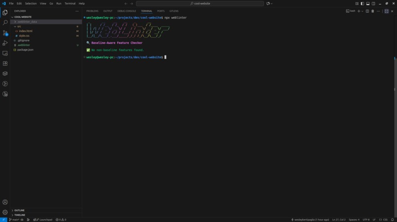 Web Linter – screenshot 2
