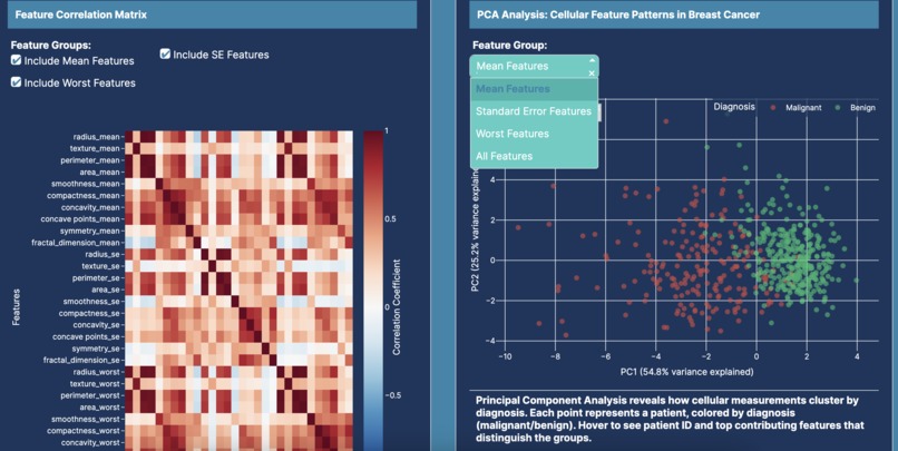 Breast Cancer Diagnostic – screenshot 6