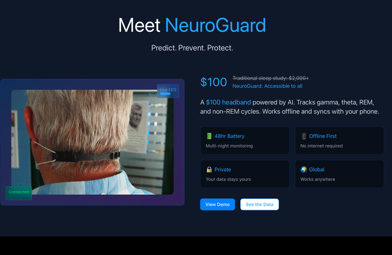 Neurosecure Africa  – screenshot 5