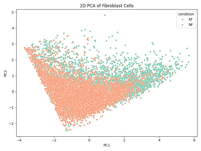 Single-cell RNA-seq Analysis of Fibroblast Heterogeneity – screenshot 1