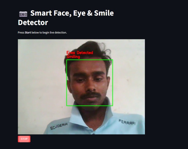 live_face_detection_project – screenshot 3