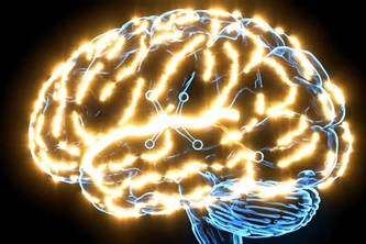 The Neuroscience of Creativity 