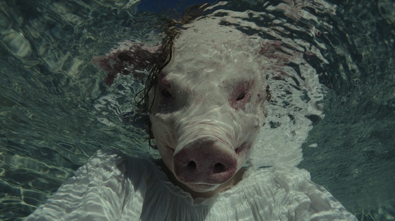 mud - Horror Thriller Short Film Directed by TEDRA – screenshot 8