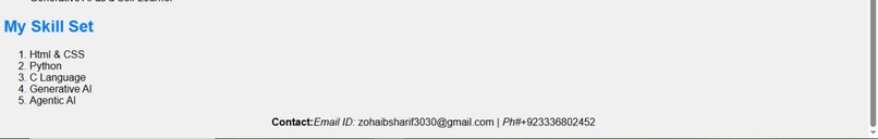 Portfolio_webpage – screenshot 2