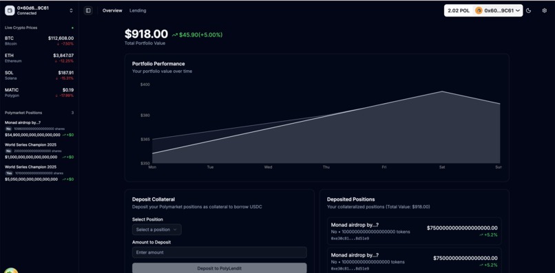 Polylendy – screenshot 1