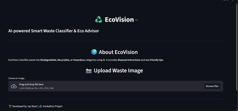 Ecovision – screenshot 1