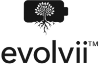 the evolvii studios project