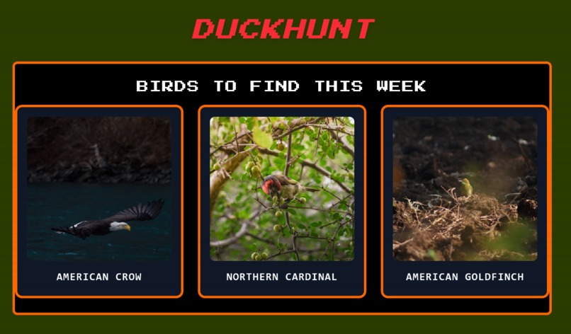Duckhunt – screenshot 1