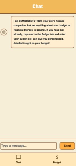 Budget Buddy Retro – screenshot 2