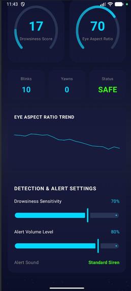 SleepyCar – screenshot 8