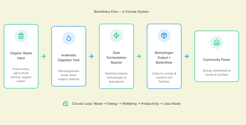 BioNeuroFuel — Powering Communities, Fortifying Minds. – screenshot 4