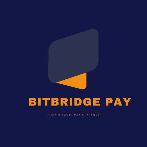 BitBridge Pay – screenshot 1