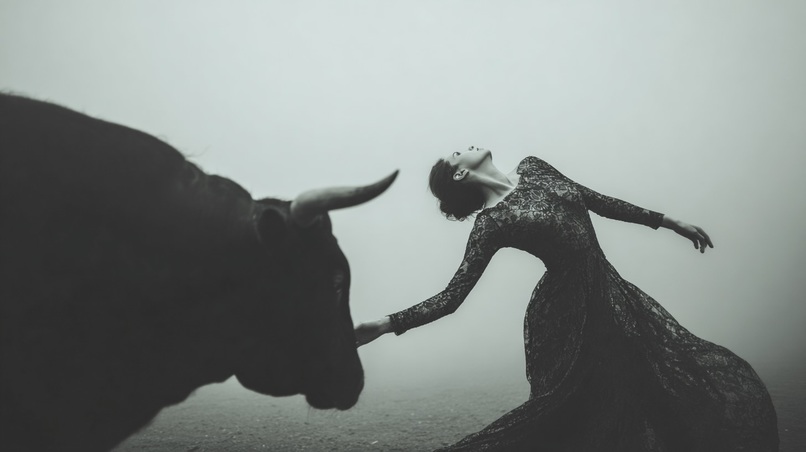 pasodoble – screenshot 5