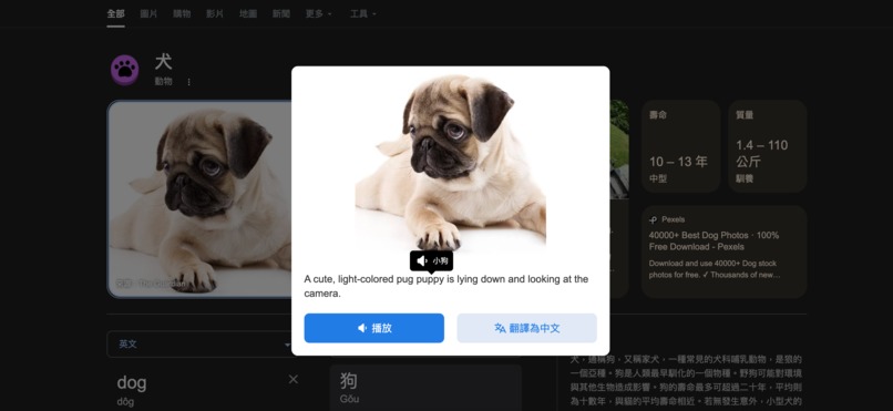 Learn Language from Image – screenshot 1