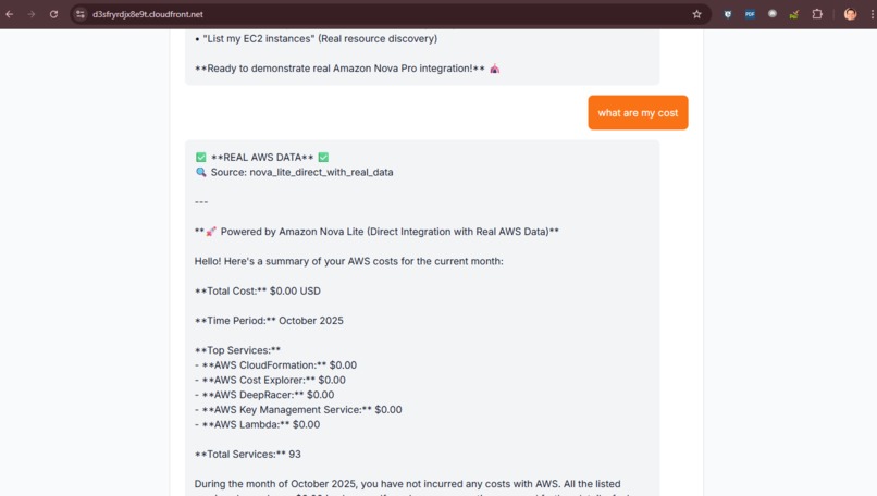 AWS Cloud Concierge Agent – screenshot 1