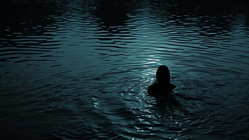 The Lake Never Forgets – screenshot 2