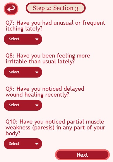 Diabetes Risk Predictor  – screenshot 2
