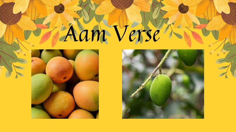 AamVerse – screenshot 1