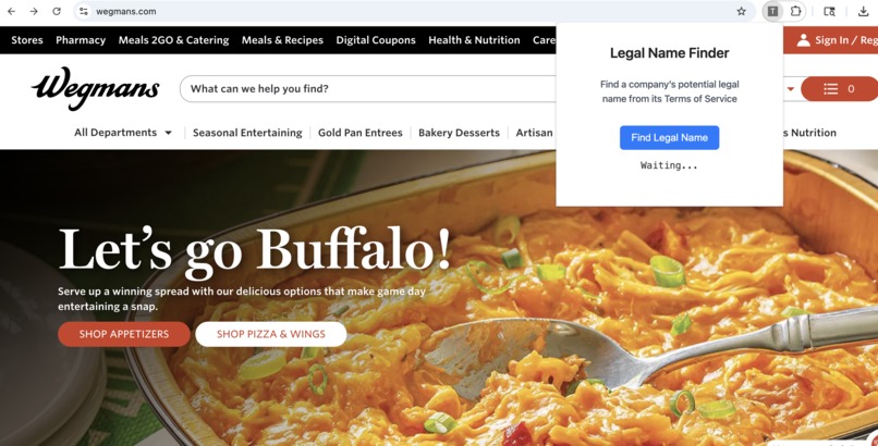 Legal Name Finder – screenshot 2