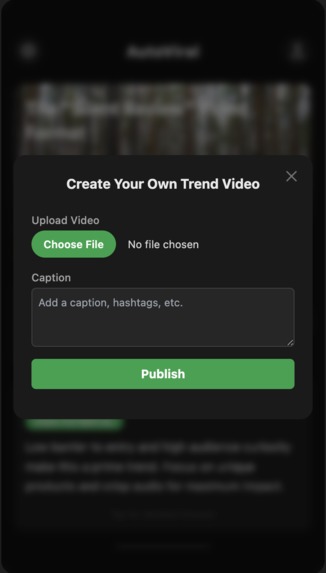 AutoViral – screenshot 2