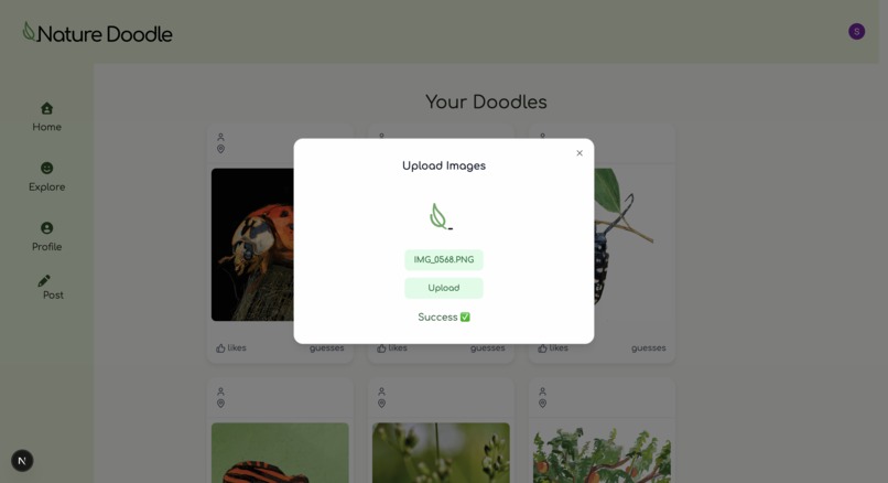 Nature Doodle – screenshot 7