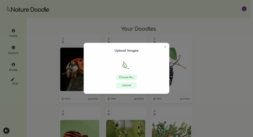 Nature Doodle – screenshot 6