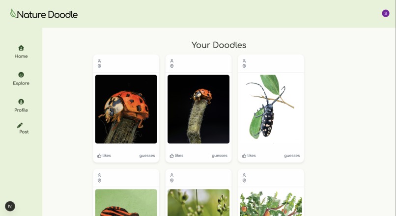 Nature Doodle – screenshot 5