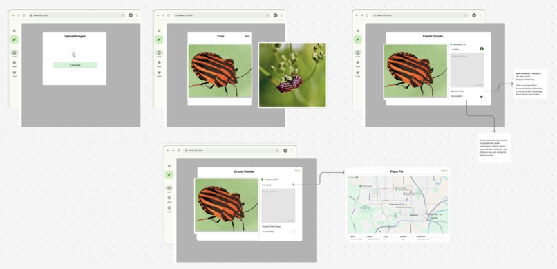 Nature Doodle – screenshot 11