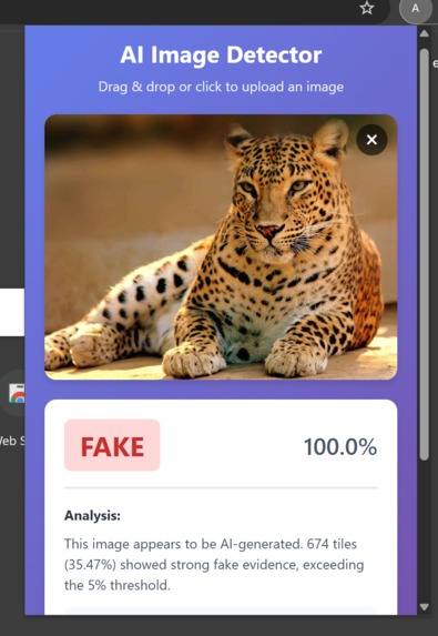 Ai Information Checker – screenshot 4