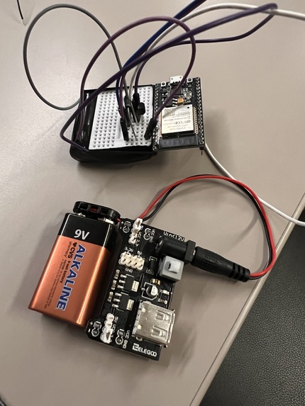 Pit to Palm – screenshot 1