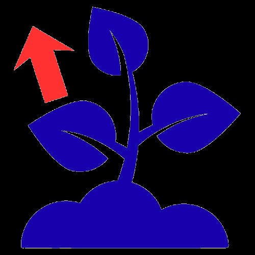 Capital Literacy – screenshot 6